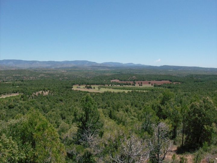 External Image