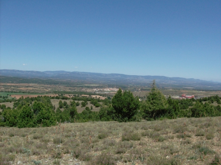 External Image