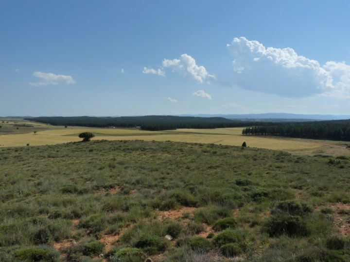 External Image