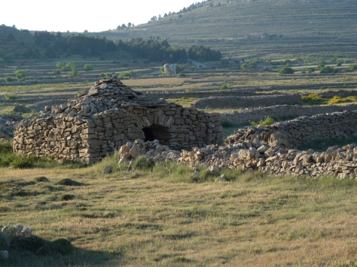 External Image