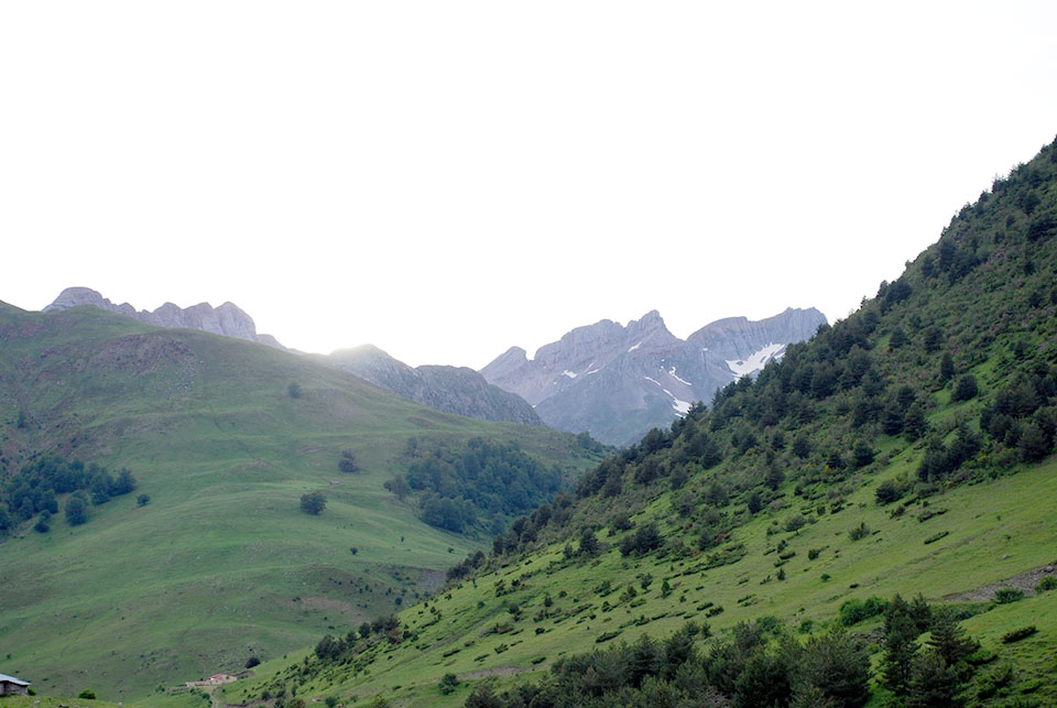 External Image
