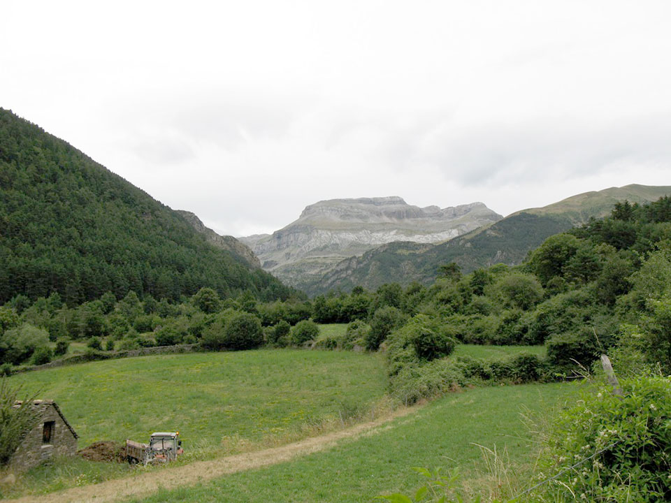 External Image