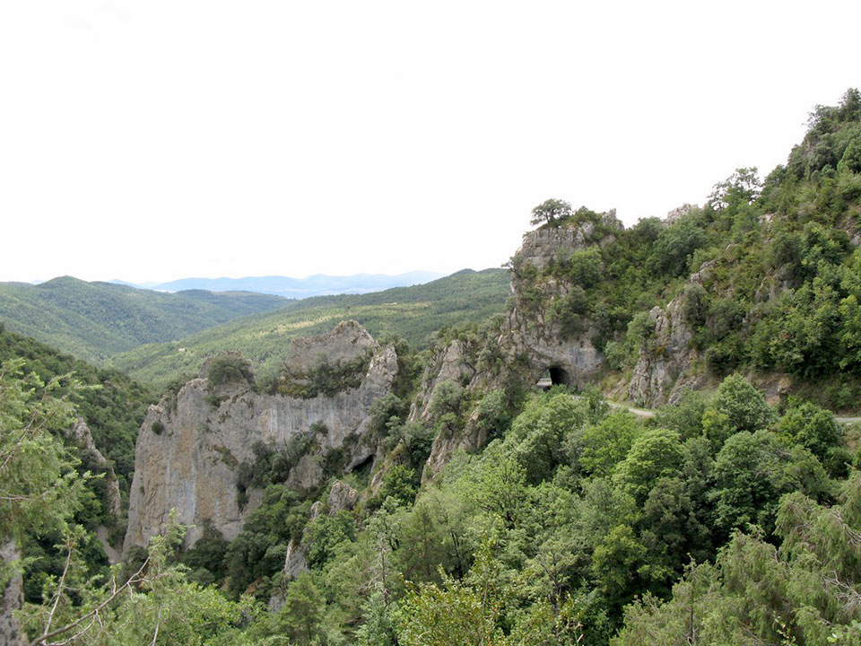 External Image