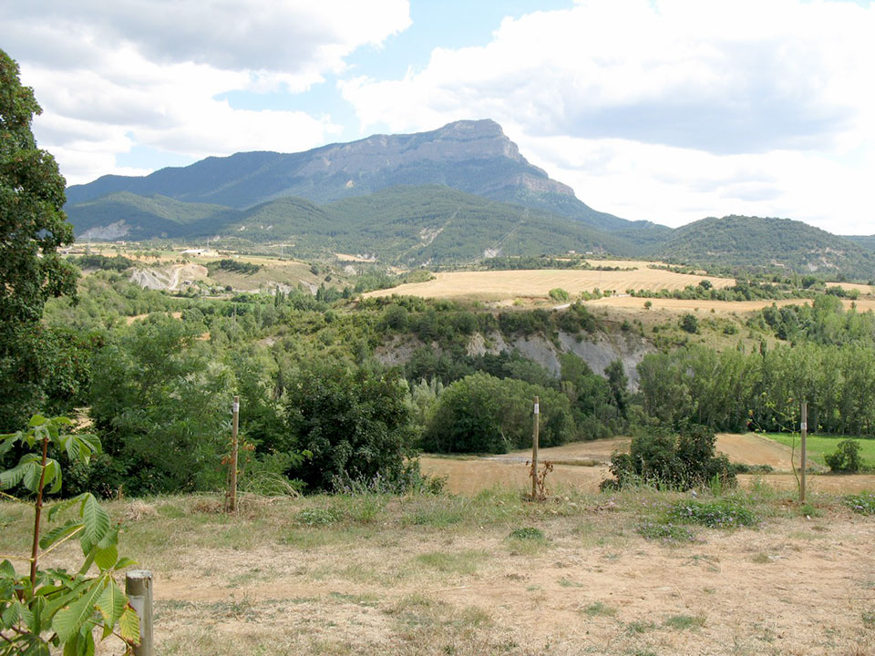 External Image