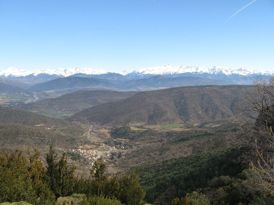 External Image