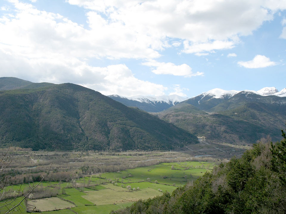 External Image