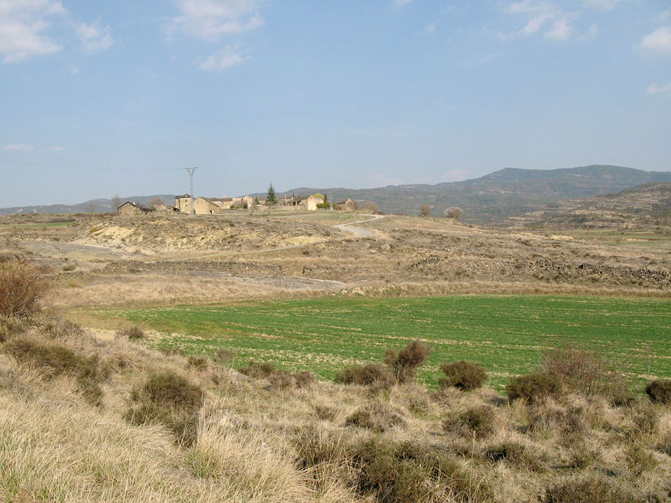 External Image