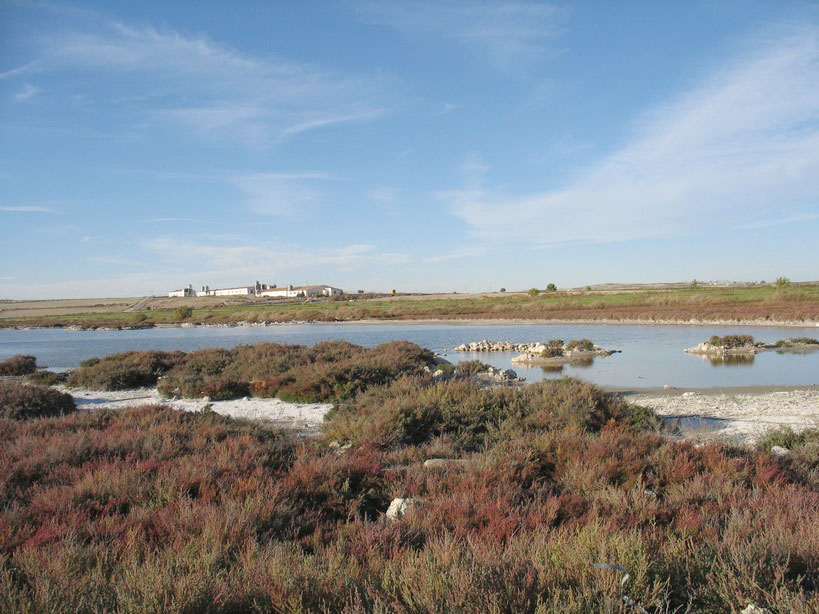 External Image