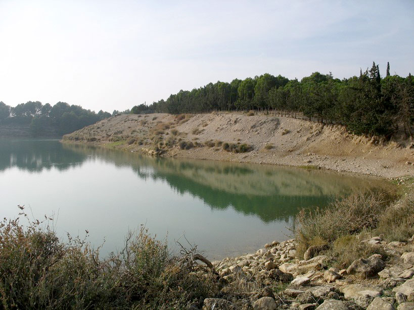 External Image