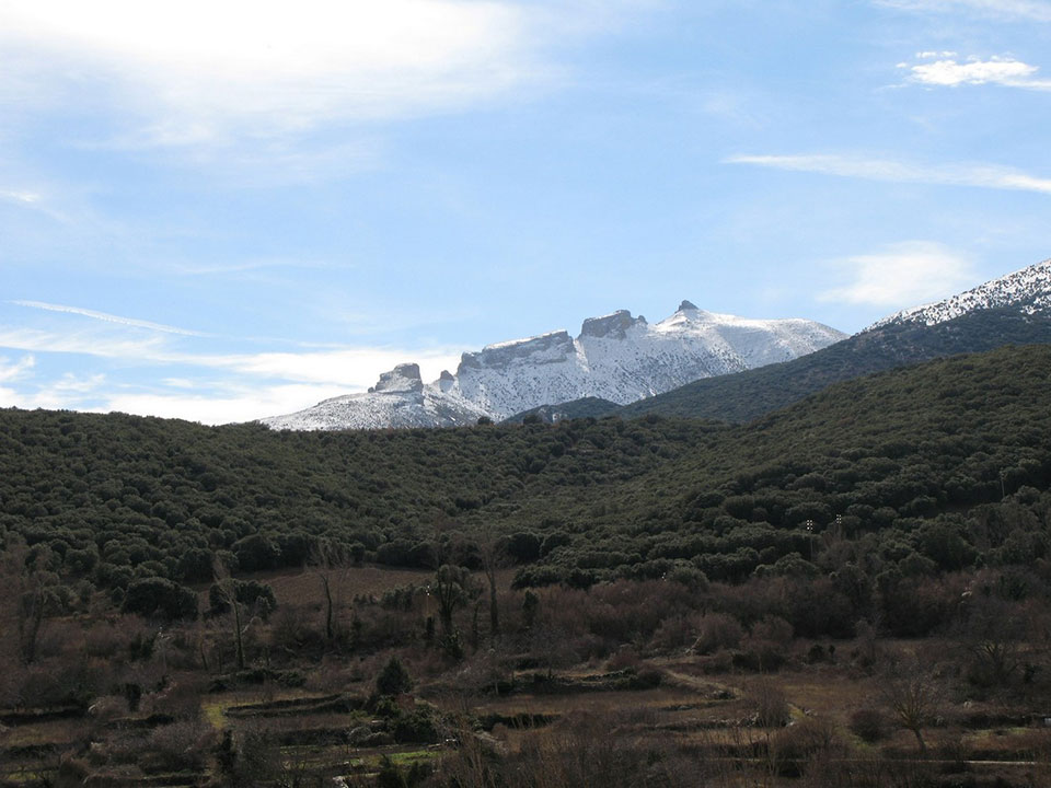 External Image