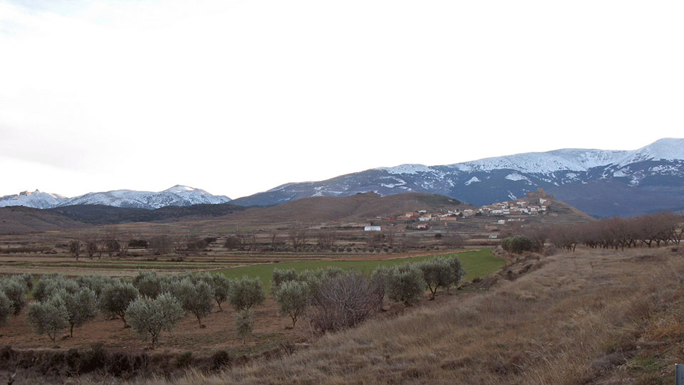 External Image