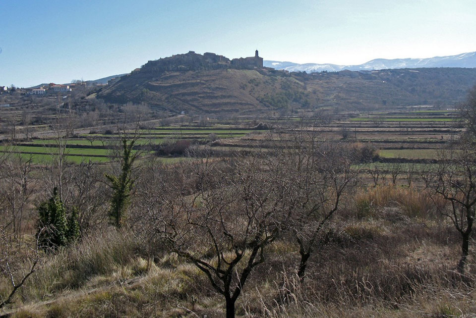 External Image