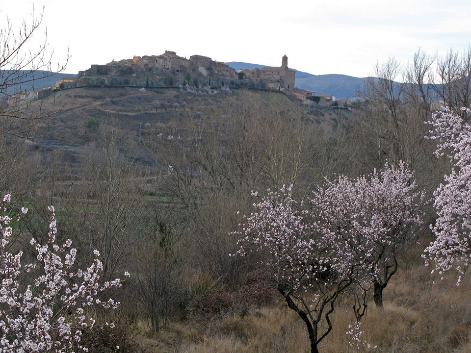 External Image