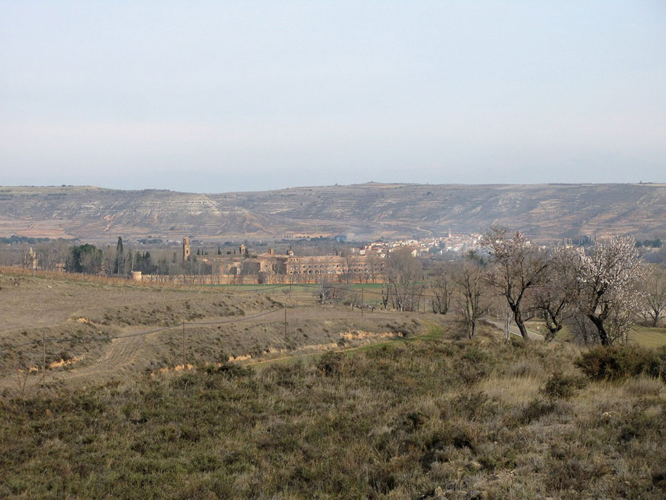 External Image