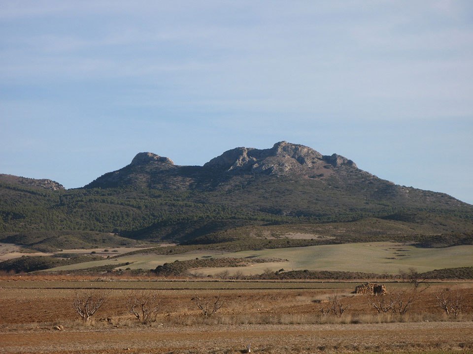 External Image