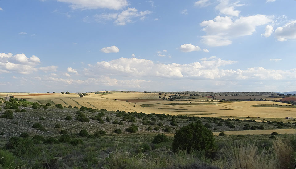 External Image