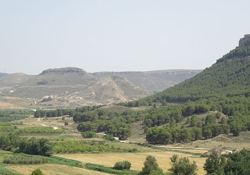 External Image