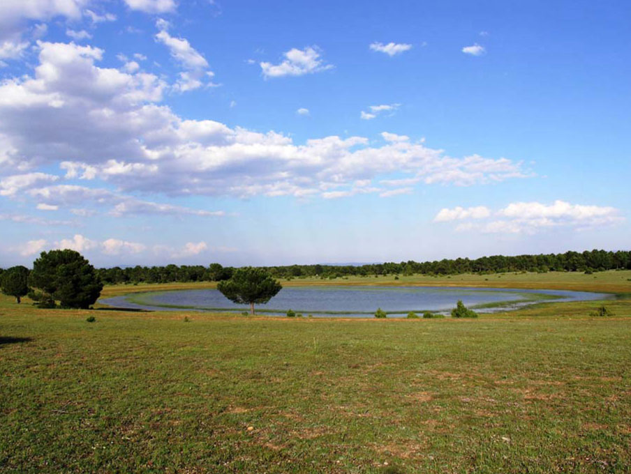 External Image