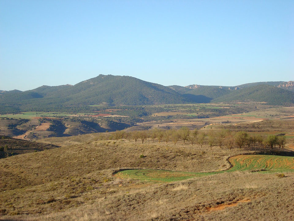External Image
