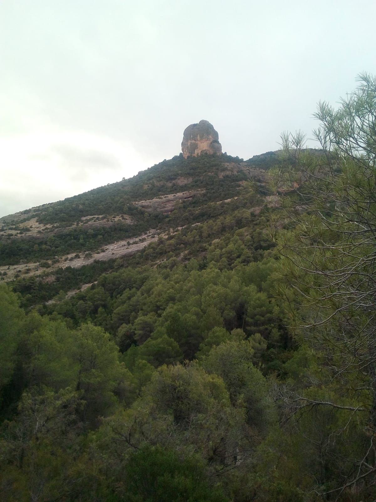 External Image