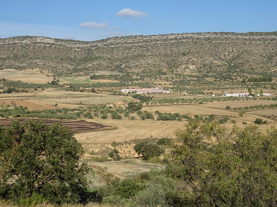External Image