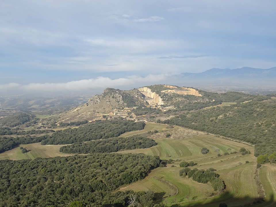 External Image