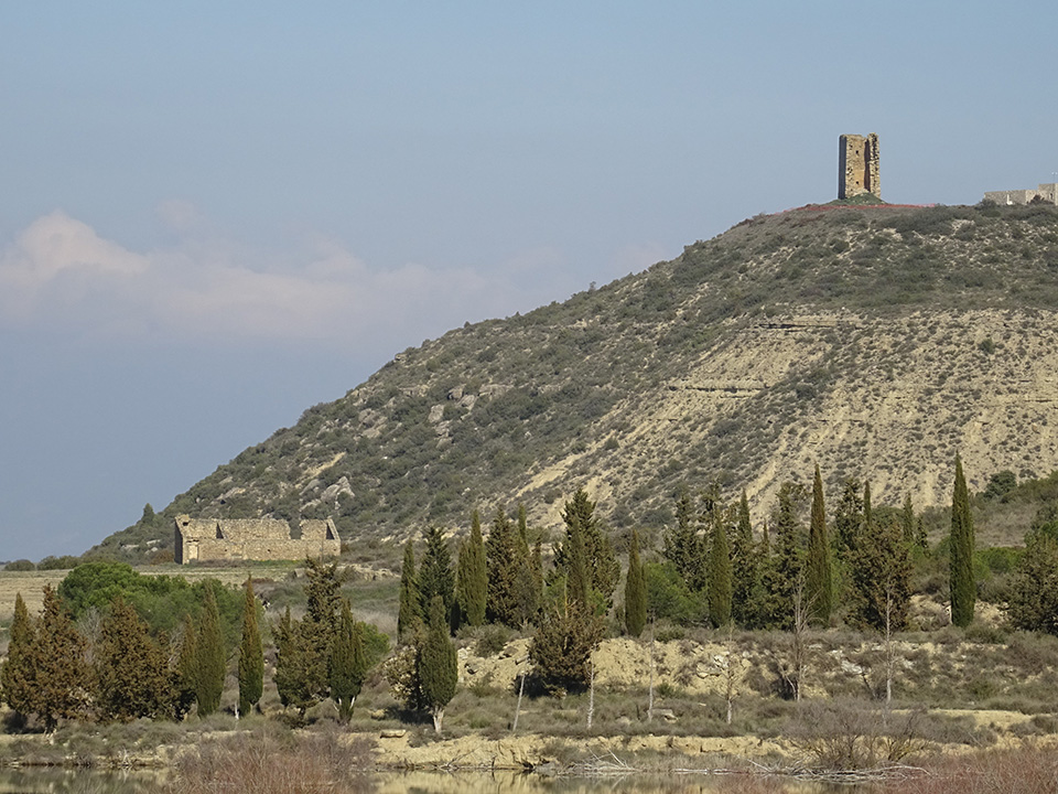 External Image
